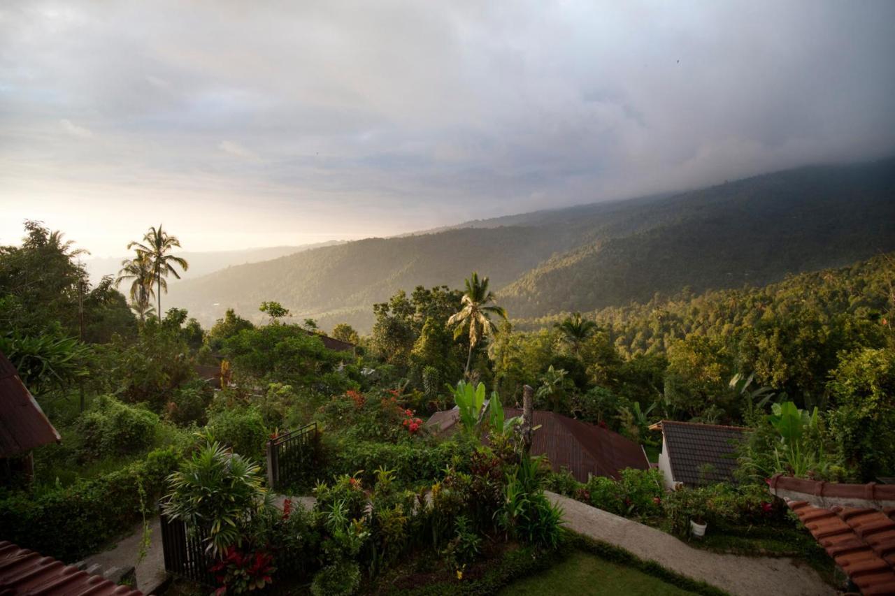 Aris Homestay And Warung Made Munduk Екстериор снимка